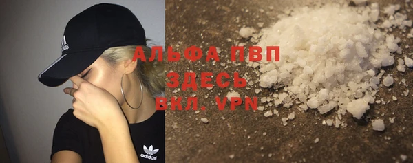 стаф Алексин