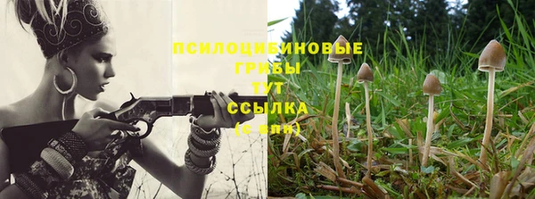 мефедрон мука Алексеевка