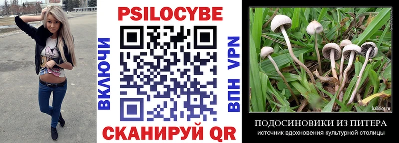 Псилоцибиновые грибы Magic Shrooms сайты даркнета какой сайт Ковров